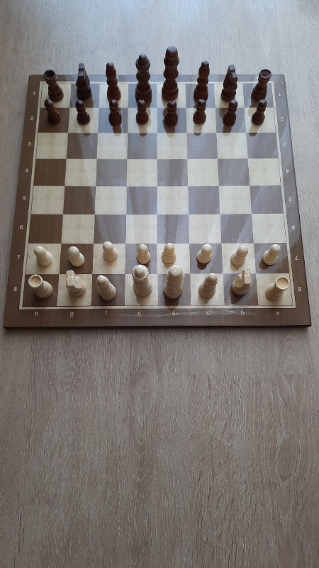 Lüks Satranç Takımı Ahşap Figür (3 Numara)