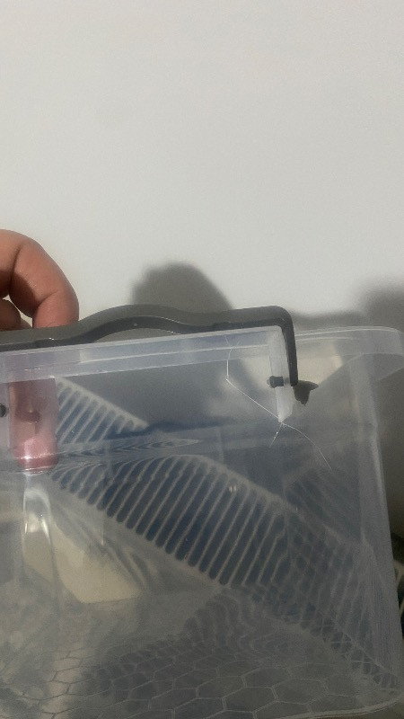 Çankaya Plastik Dikdörtgen Saklama Kabı - 7,5 lt