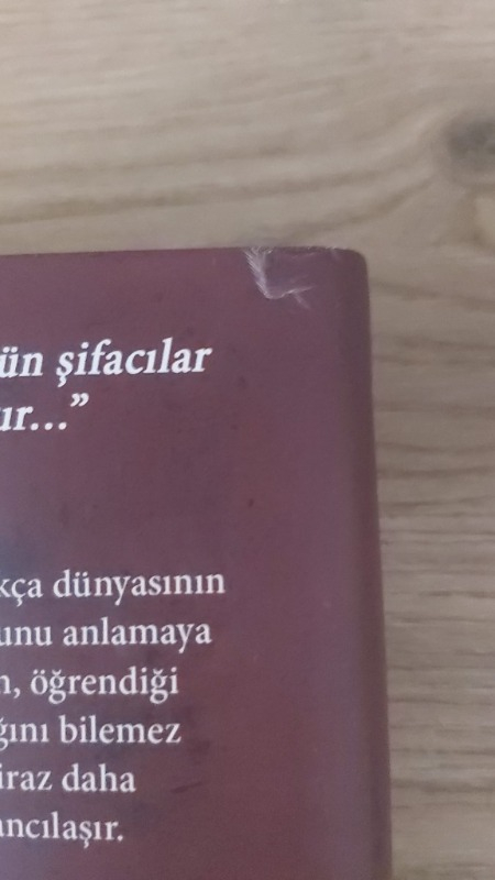 Kimse Gerçek Değil (Ciltli) - Zeynep Sey