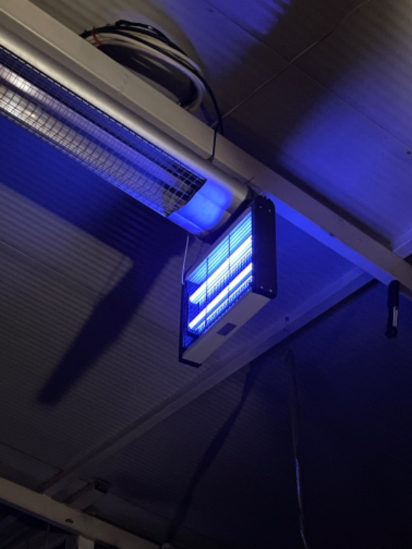Asonic AS-A28 Siyah 4W+ 2000V Iki Ledli Sinek Öldürücü