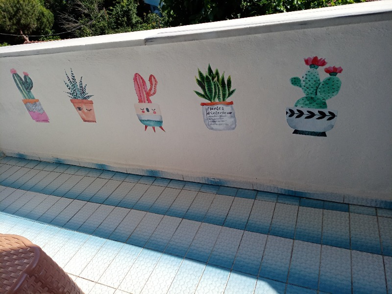 visual-comment-img