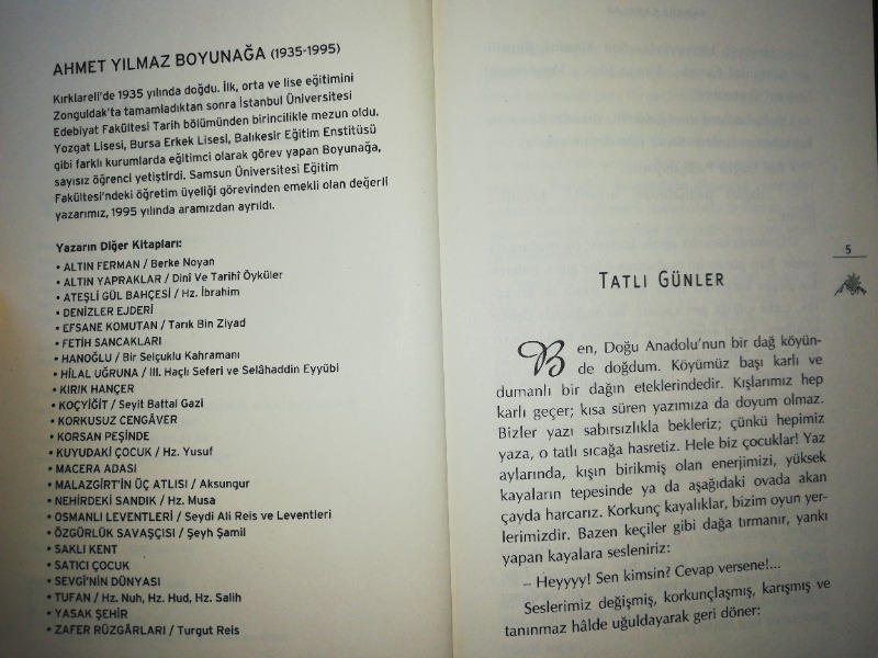 Yankılı Kayalar - Ahmet Yılmaz Boyunağa