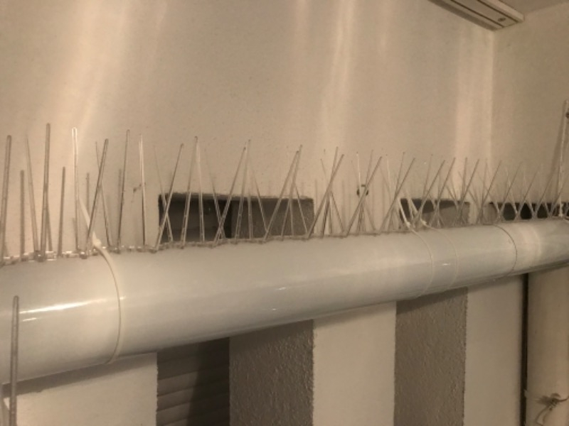 Expel Plastik Kuşkonmaz Bariyer Kuş Engelleyici Tel 3D Model 5'li
