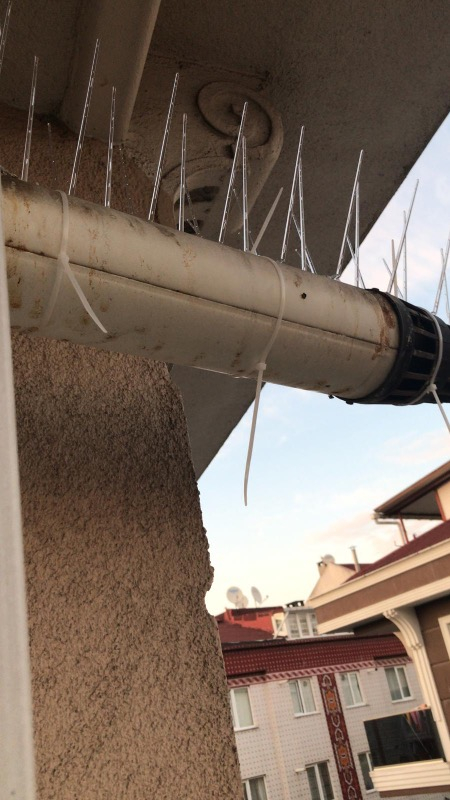 Expel Plastik Kuşkonmaz Bariyer Kuş Engelleyici Tel 3D Model 20'li