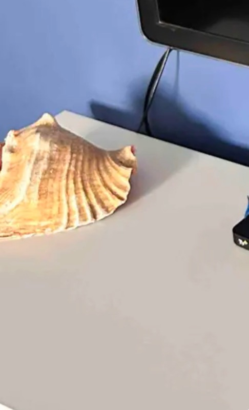 Rotring Kırmızı Kopya Kalemi 4'lü Paket Renkli Kurşun Kalemler için Pratik Yazım Aracı