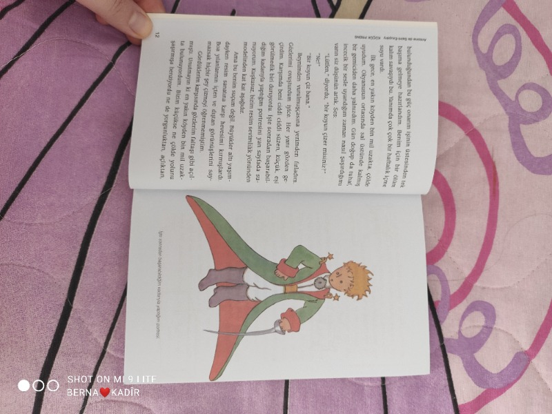 Küçük Prens - Antonie de Saint-Exupery