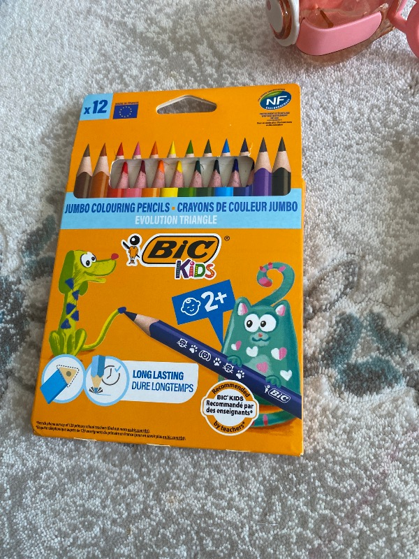 Bic Evolution Üçgen jumbo Boya Kalemi 12 Renk 1632