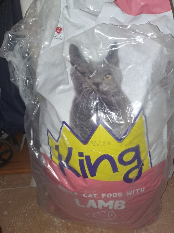 King 15 Kg Kuzu Etli Yetişkin Kedi Maması Ekonomik Segment İçin Lezzetli Seçim