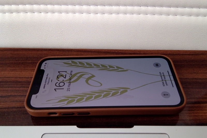 iPhone 12 Pro 256 GB