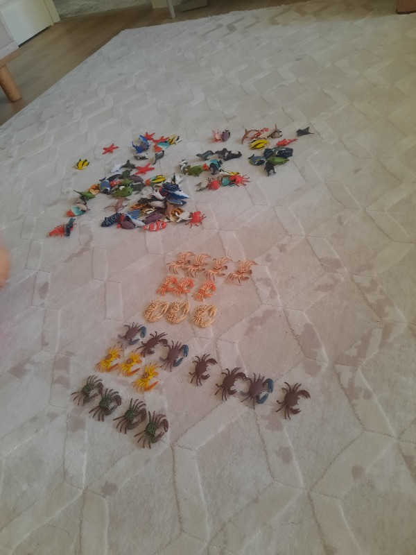 visual-comment-img