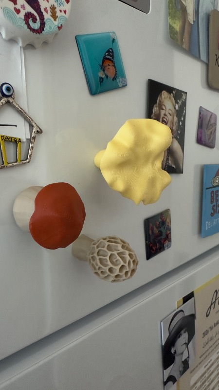 visual-comment-img