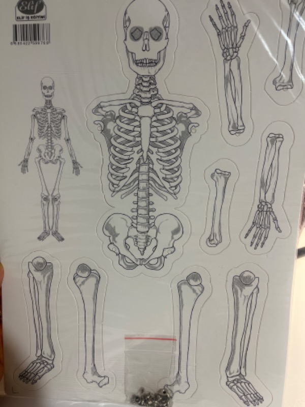 Elux Karton Iskelet Seti - Maket