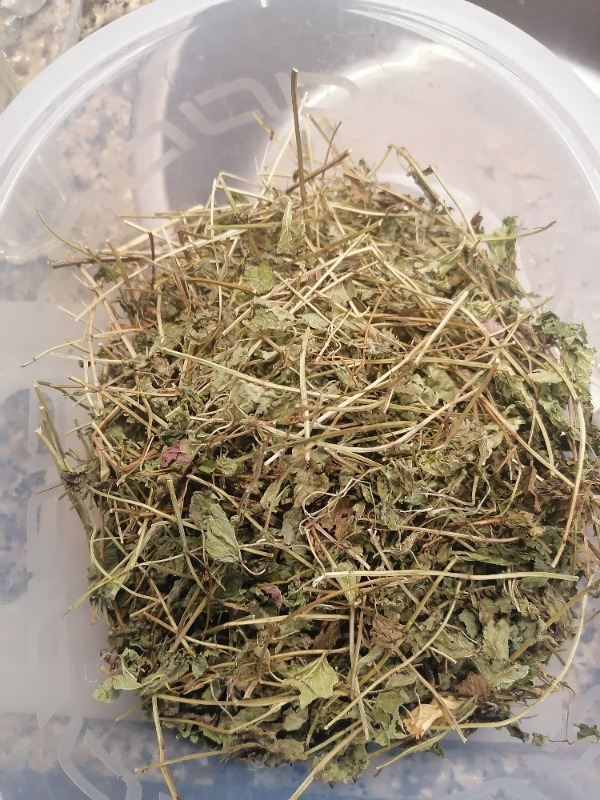 Aktar Diyarı Melisa Otu Dağ  gr 250 gr