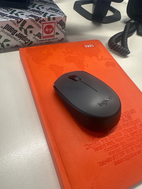 Logitech M170 USB Alıcılı Kablosuz Kompakt Mouse - Gri