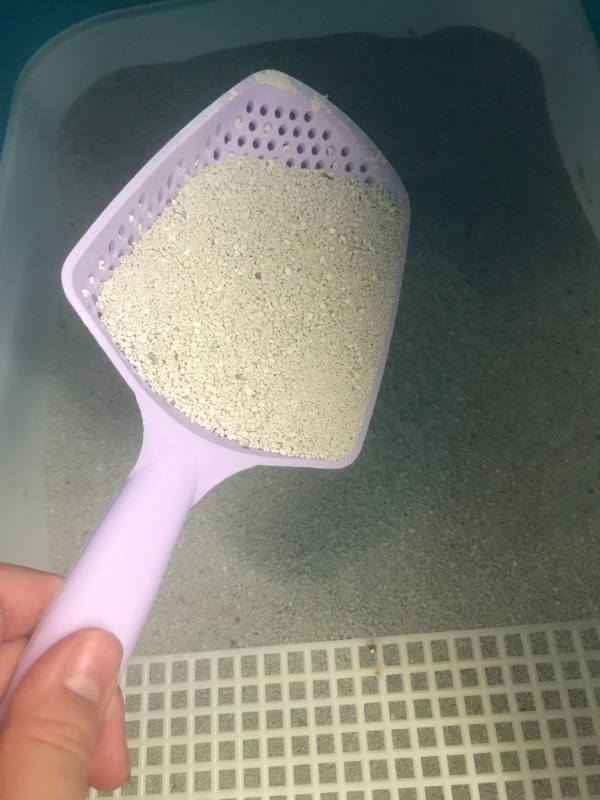 Pi İthalat Kedi Kumu Küreği