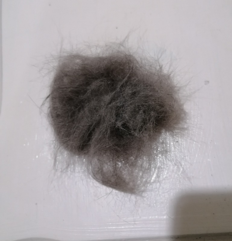 Pet Brush Kedi Köpek Buharlı Tarak