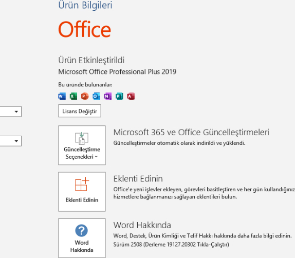 Microsoft Office 2021 Pro Plus Dijital Lisans Anahtarı