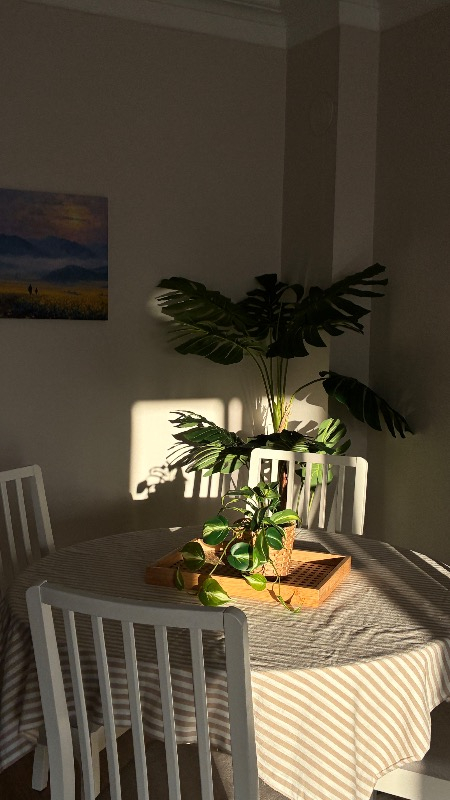 visual-comment-img