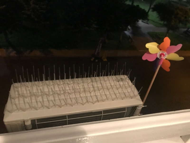 Expel Plastik Kuşkonmaz Bariyer Kuş Engelleyici Tel 3D Model 5'li