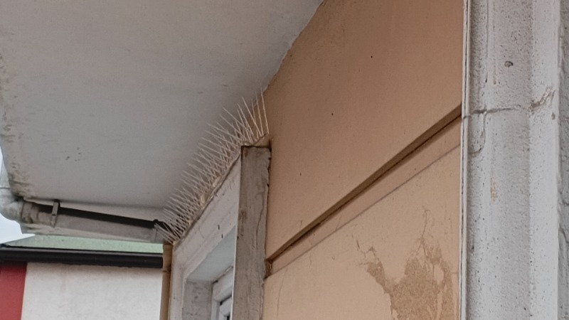 Kovmatik Kuşkonmaz Plikarbon Plastik Tel 3 M