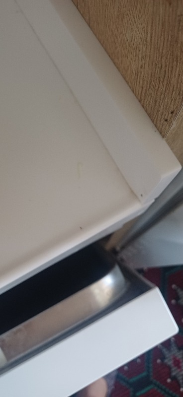 Filit Hamam Böceği ve Karınca Jeli Böcek Ilacı Jel
