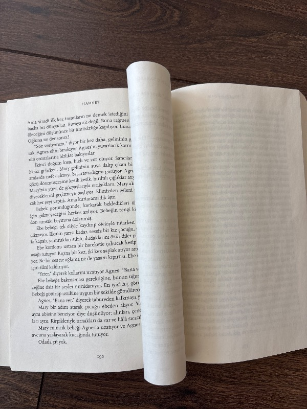 Domingo Yayınevi Hamnet - Maggie O'Farrell Ciltsiz 304 Sayfa Edebiyat Kitabı Türkiye Menşeli BKZ YAYINCILIK