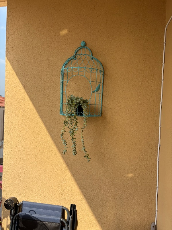 visual-comment-img