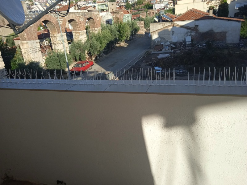 Expel Plastik Kuşkonmaz Bariyer Kuş Engelleyici Tel 3D Model 50'li