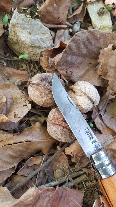 Opinel No 9  Kayın Saplı Karbon Çelik Çakı
