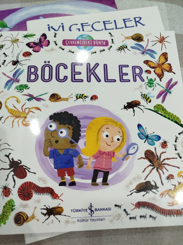 Çevremizdeki Dünya Böcekler