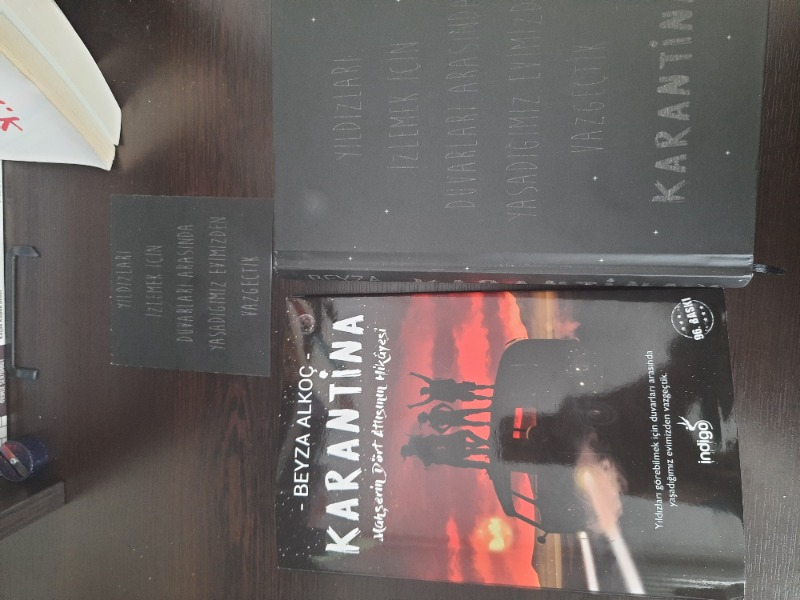 Karantina (Ciltli) - Beyza Alkoç
