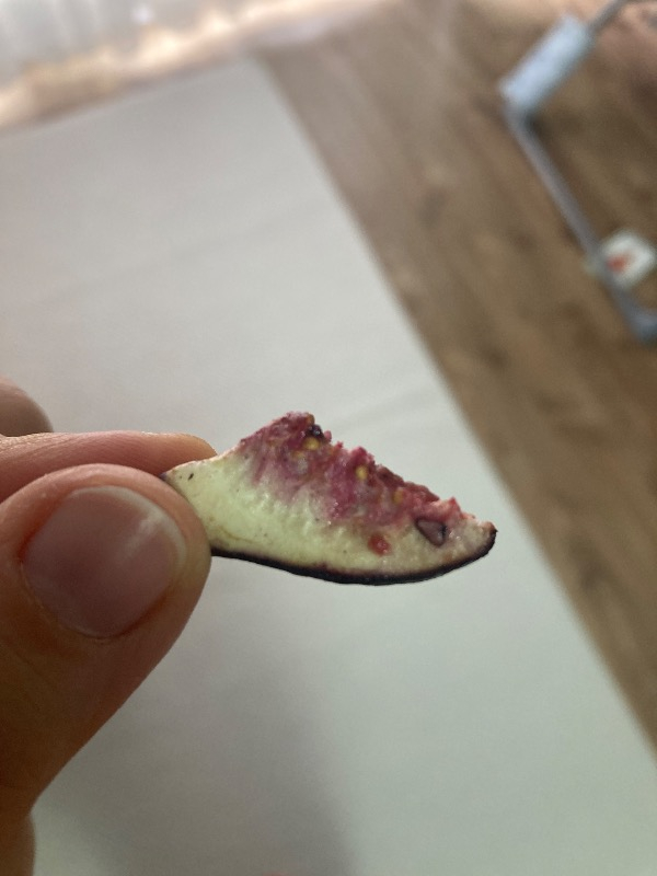 Henien Dondurularak Kurutulmuş İncir 30 Gr - Koruyucu ve Katkı Maddesi İçermeyen Freeze Dried İncir