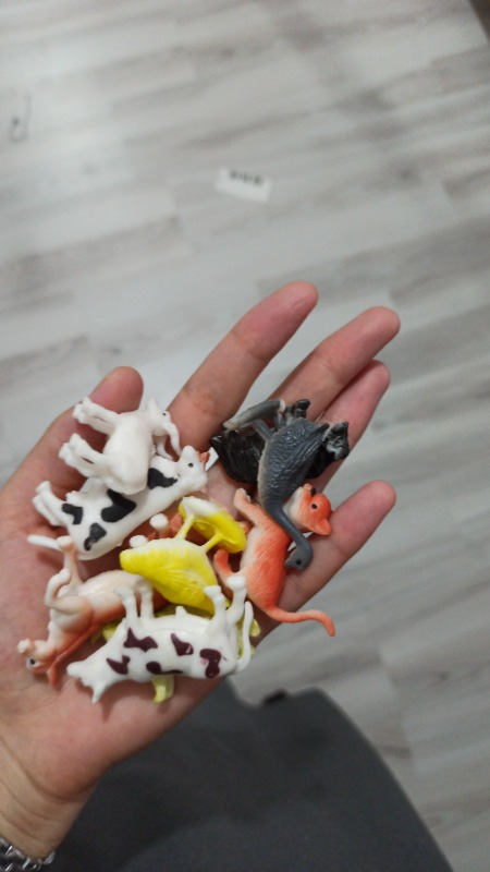 Sunman Çiftlik Hayvanları