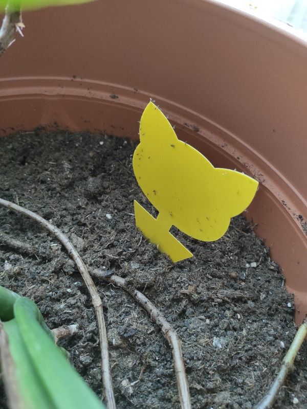 visual-comment-img
