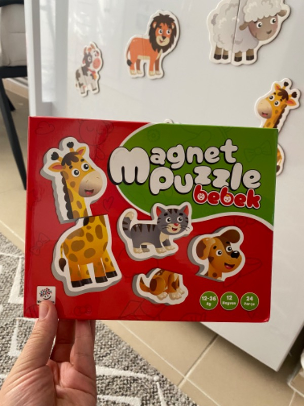 İlk Magnet Puzzle 12 - 36 ay