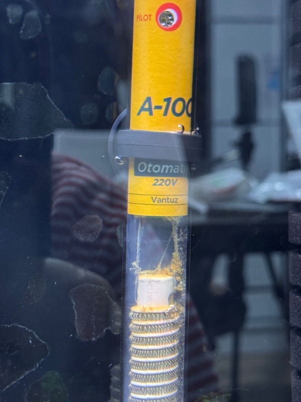 Atlantik Akvaryum Isıtıcı 100 Watt 25 cm