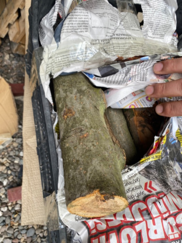 Sevimli Sobalık Hazır Çuvallı Odun Tahta Parçası 20 kg