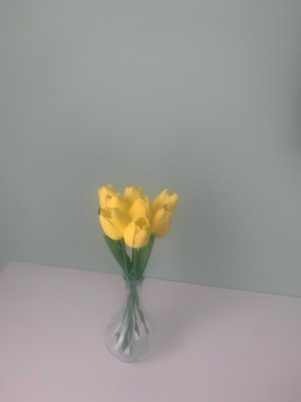 visual-comment-img