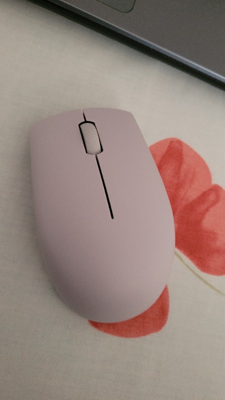 Lenovo 300 1000 Dpı Mouse GY51L15678