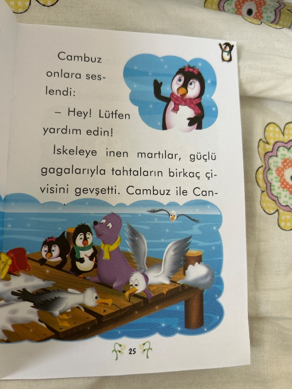 Penguen Karcan - Nalan Aktaş Sönmez