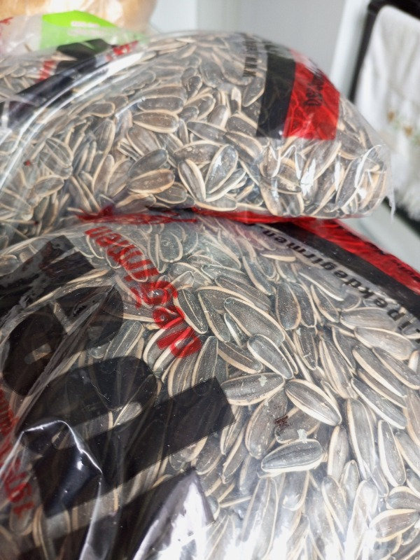 ÇerezAvm Çiğ Siyah Ay Çekirdeği 1 kg
