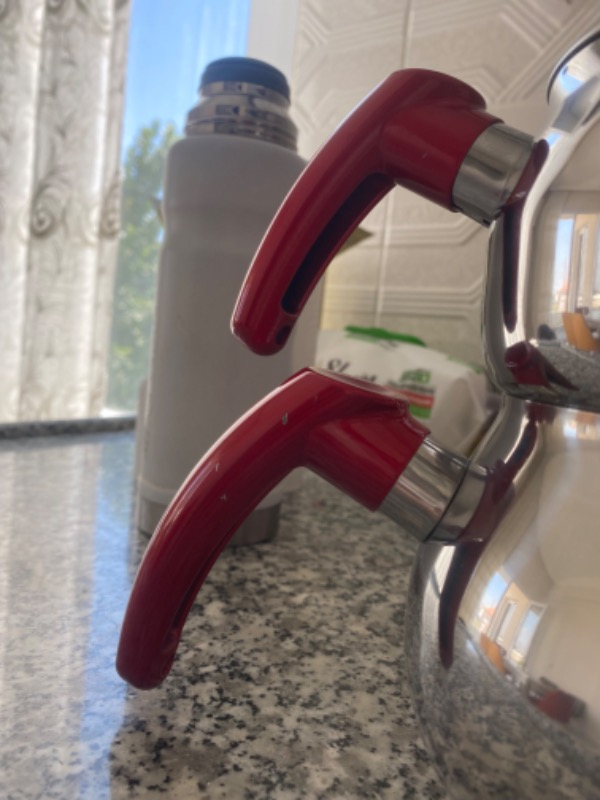 Ems Çelik Kardem Mini Boy Çaydanlık Paslanmaz Çelik Ergonomik Kulp 0,80 lt Üst 1,0 lt Alt