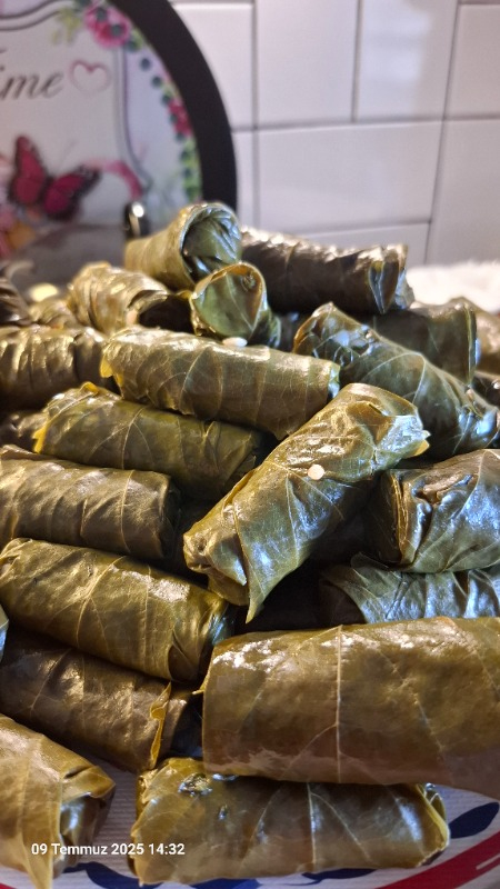 Rota Prowrap Yaprak Sarma Makinası RT305