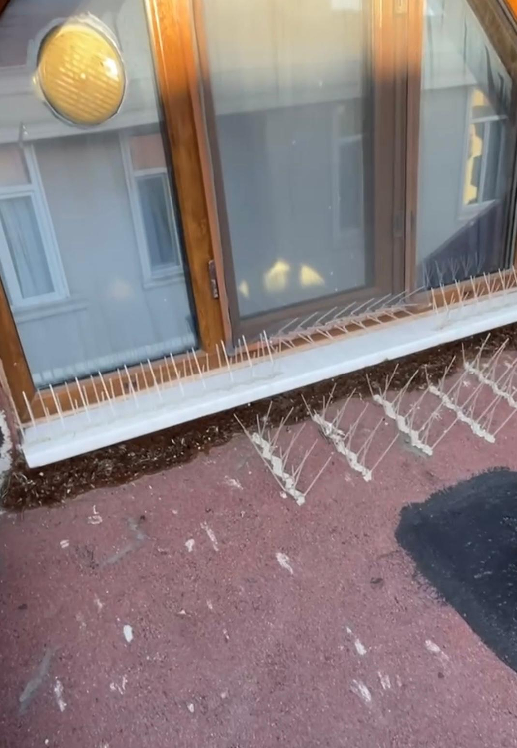 Plastik Kuşkonmaz Bariyer Kuş Engelleyici Tel 3D Model 40'lı