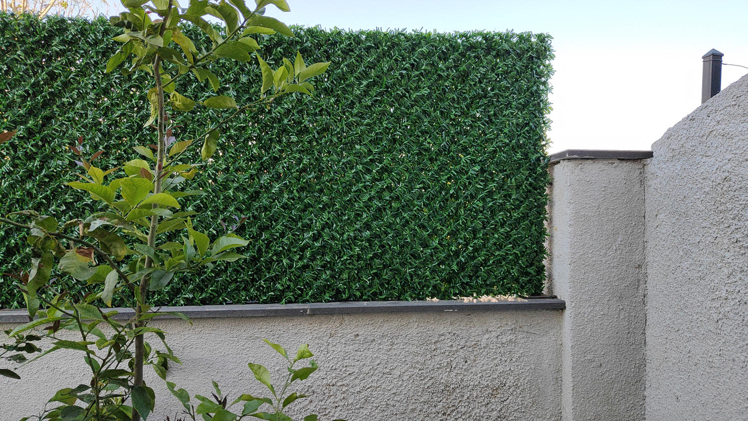 visual-comment-img