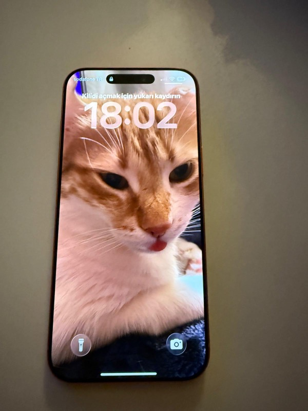 Apple iPhone 17 Pro Max  512 GB Kozmik Turuncu