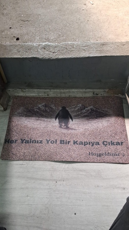 visual-comment-img