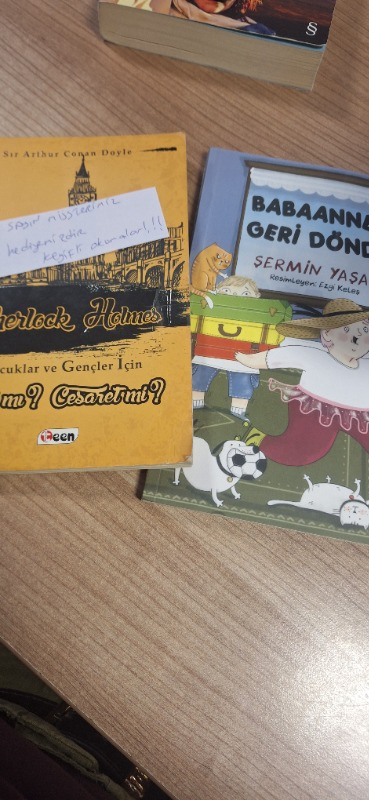 Taze Kitap Babaannem Geri Döndü - Şermin Yaşar