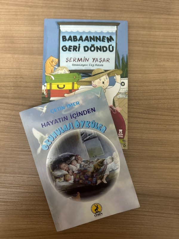 Taze Kitap Babaannem Geri Döndü - Şermin Yaşar