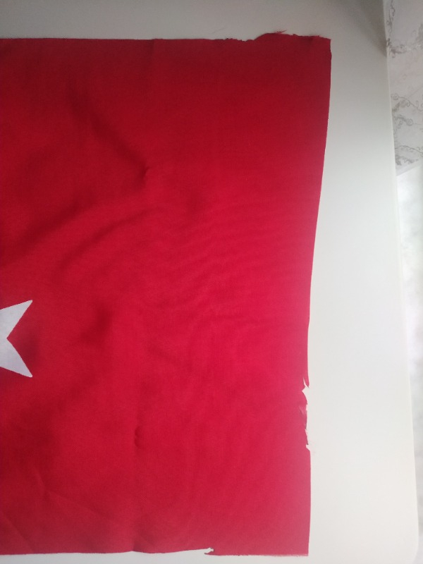Vatan Türk Bayrağı 40 x 60 cm